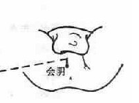 會陰穴