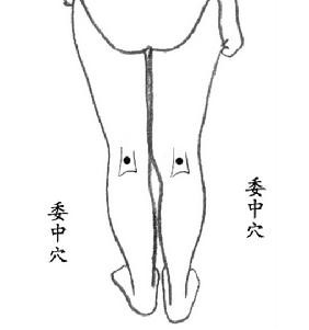 委中穴