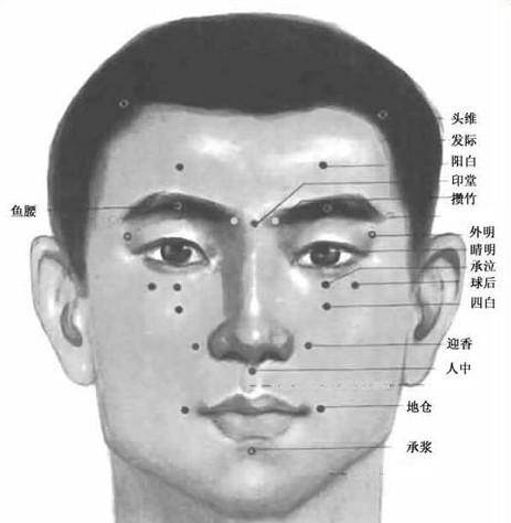 面部刮痧穴位圖