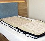 電熱砭石汗蒸毯