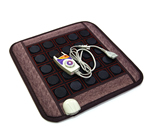 泗濱寶砭石坐墊