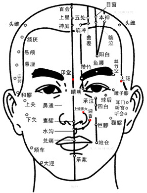 臉部穴位