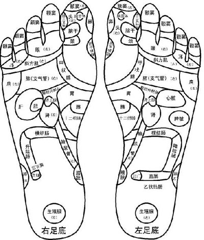 足部穴位圖
