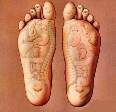 足底反射區(qū)