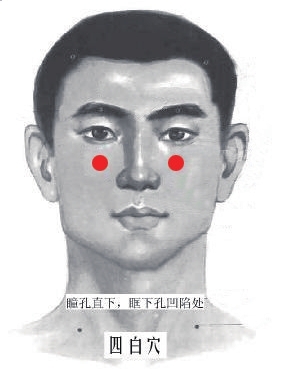 四白穴