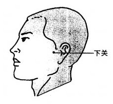 下關穴位圖